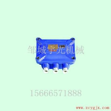 點擊查看詳細信息<br>標題：礦用隔爆兼本安型液位傳感器GUD20 閱讀次數：4361